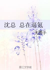 穿成靖康之耻后的帝姬