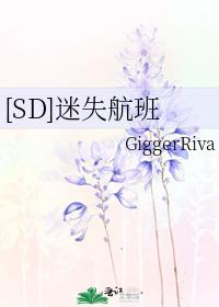 [SD]迷失航班