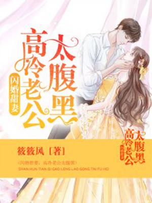 闪婚甜妻：高冷老公太腹黑